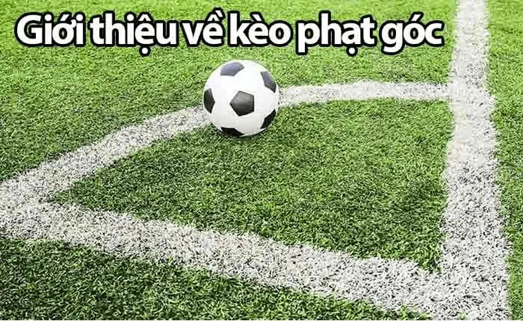Khám Phá Bí Quyết Chơi Kèo Phạt Góc Bóng Đá: Cùng nhandinhkeonhacai.info Tìm Hiểu 1 Khám Phá Bí Quyết Chơi Kèo Phạt Góc Bóng Đá: Cùng nhandinhkeonhacai.info Tìm Hiểu