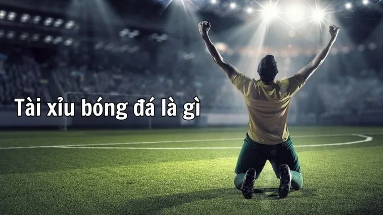 Khám Phá Thế Giới Cá Cược: Tìm Hiểu Kèo Tài Xỉu Bóng Đá 1 Khám Phá Thế Giới Cá Cược: Tìm Hiểu Kèo Tài Xỉu Bóng Đá