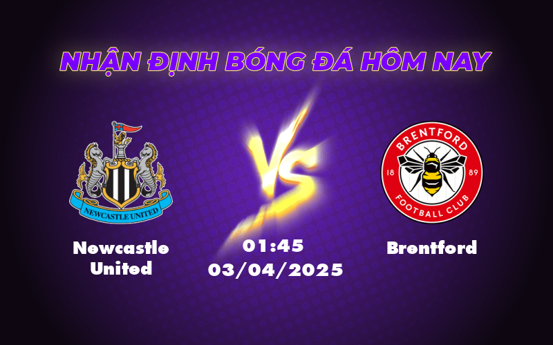 Newcastle United vs Brentford Soi Kèo Nhận Định Và Dự Đoán Kết Quả Ngoại Hạng Anh 1 newcastle united brentford 03 04 ngoai hang anh