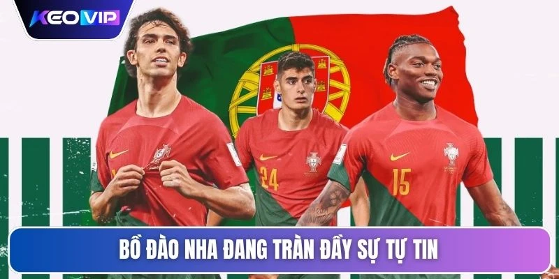 Soi Kèo Bồ Đào Nha Vs CHDC Congo Vào Lúc 00h00 Ngày 18/06 2 Bồ Đào Nha đang tràn đầy sự tự tin